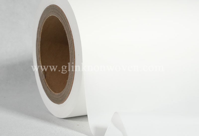 Report on the Development and Prospects of the Global and Chinese Diaper Materials Industry in 2025